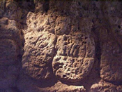Ajen Yohl Mat. Glifos que lo mencionan en el Monumento 1 de Santa Elena.