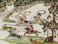 Galería de Imágenes