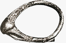 Yuke. Cinturón ceremonial