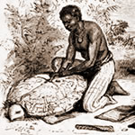 Las Tortugas