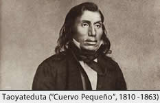 Cuervo Pequeño