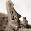 El Misterio de Isla de Pascua
