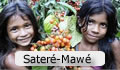 Sateré-Mawé