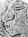 Zapoteca
