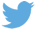 Twitter Pueblos Originarios