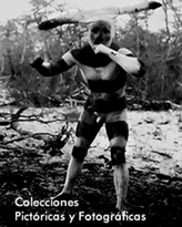 Colecciones Pictóricas y Fotográficas
