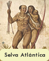 Selva Atlántica. Área Cultural de Sudamérica