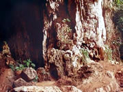 Entrada a la Cueva de las Lechuzas