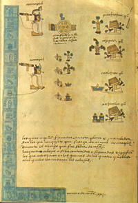 Códice Mendoza