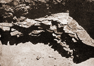 Piso de Mica