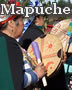 Mapuche