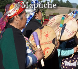 Mapuche