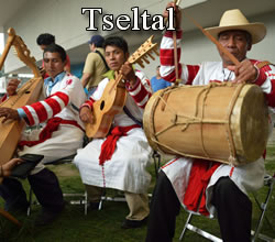 Tseltal