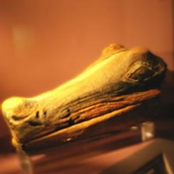 Galería de Imágenes