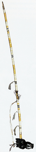 Pipa