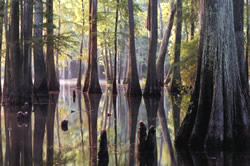 Río Pascagoula