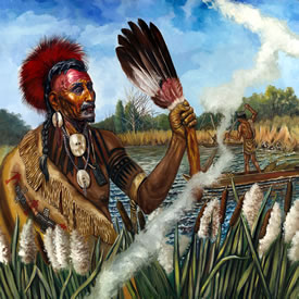 Galería de Imágenes