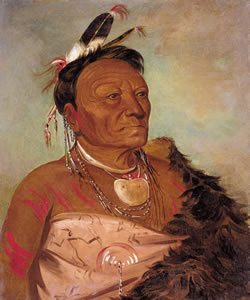 Galería de Imágenes