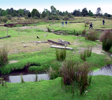 Galería de Imágenes