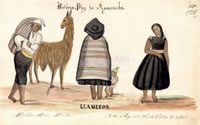 Bolivia. Paz de Ayacucho. Llameros