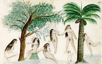 Mujeres tomando un baño (área oriental de Bolivia)