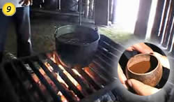 Ayahuasca