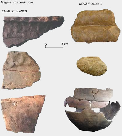 Fragmentos cerámicos. Caballo Blanco, Nova Ipixuna 3