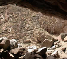 Galería de Imágenes