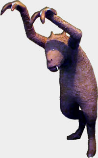 Aó-Aó