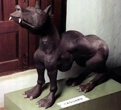 Yaguaru
