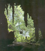 Cueva