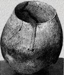 Vaso globular