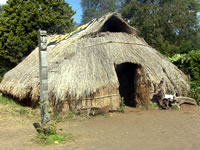 Galería de Imágenes