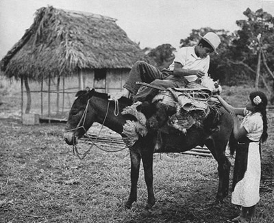 Vendedor de aves de corral