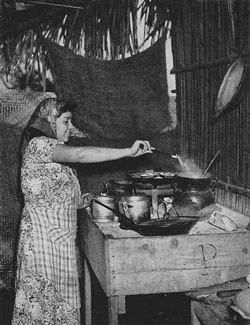 Modesta cocina